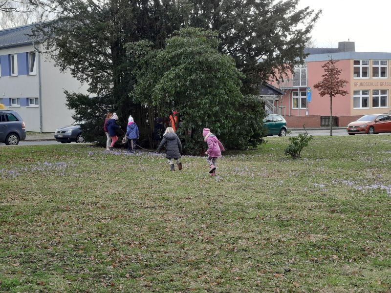 Der Frühling erhält Einzug an der Grundschule Grasleben Grundschule