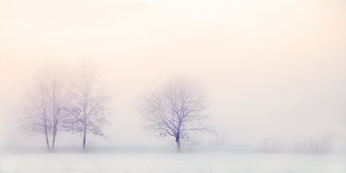winter landscape