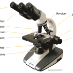 Beispielbild eines Mikroskops (Bearbeitung)