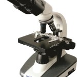 Beispielbild eines Mikroskops (Original)