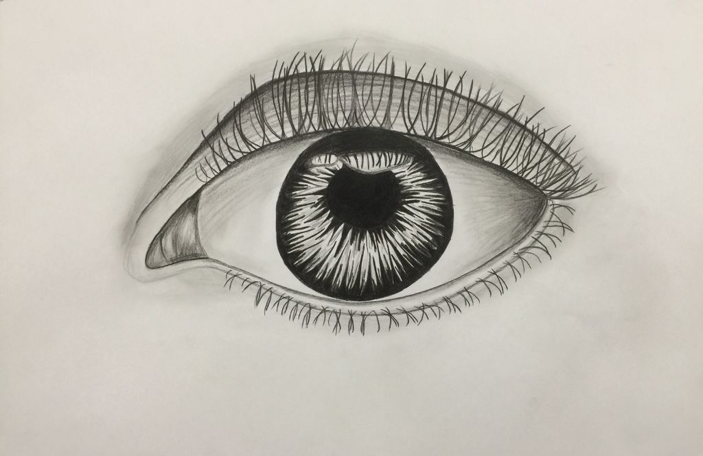 Auge 1