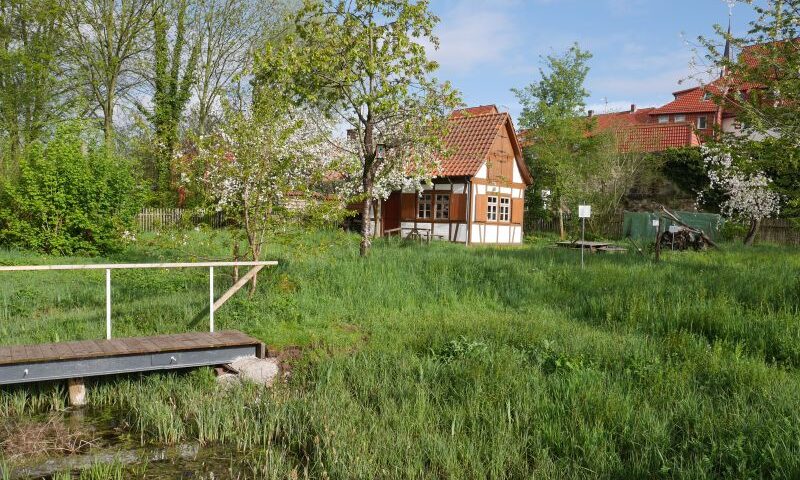 Schulgarten0004 - Kopie