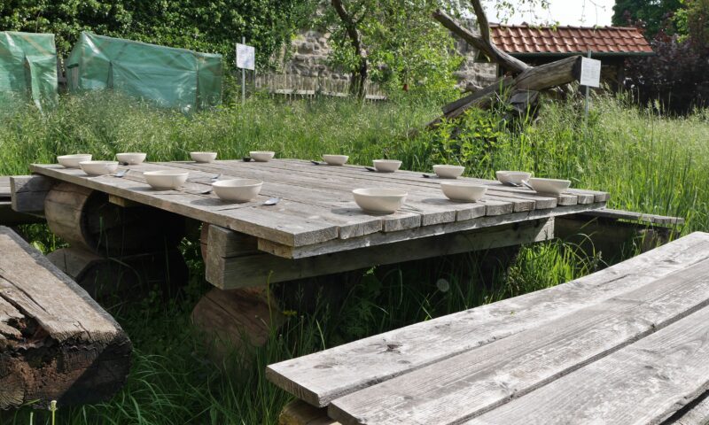 Schulgarten20