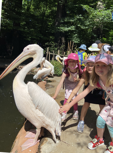 Löwe, Elefant und andere „Tier-Riesen“