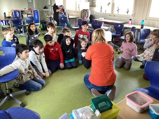 Löwenstark- Resilienztraining für Kinder