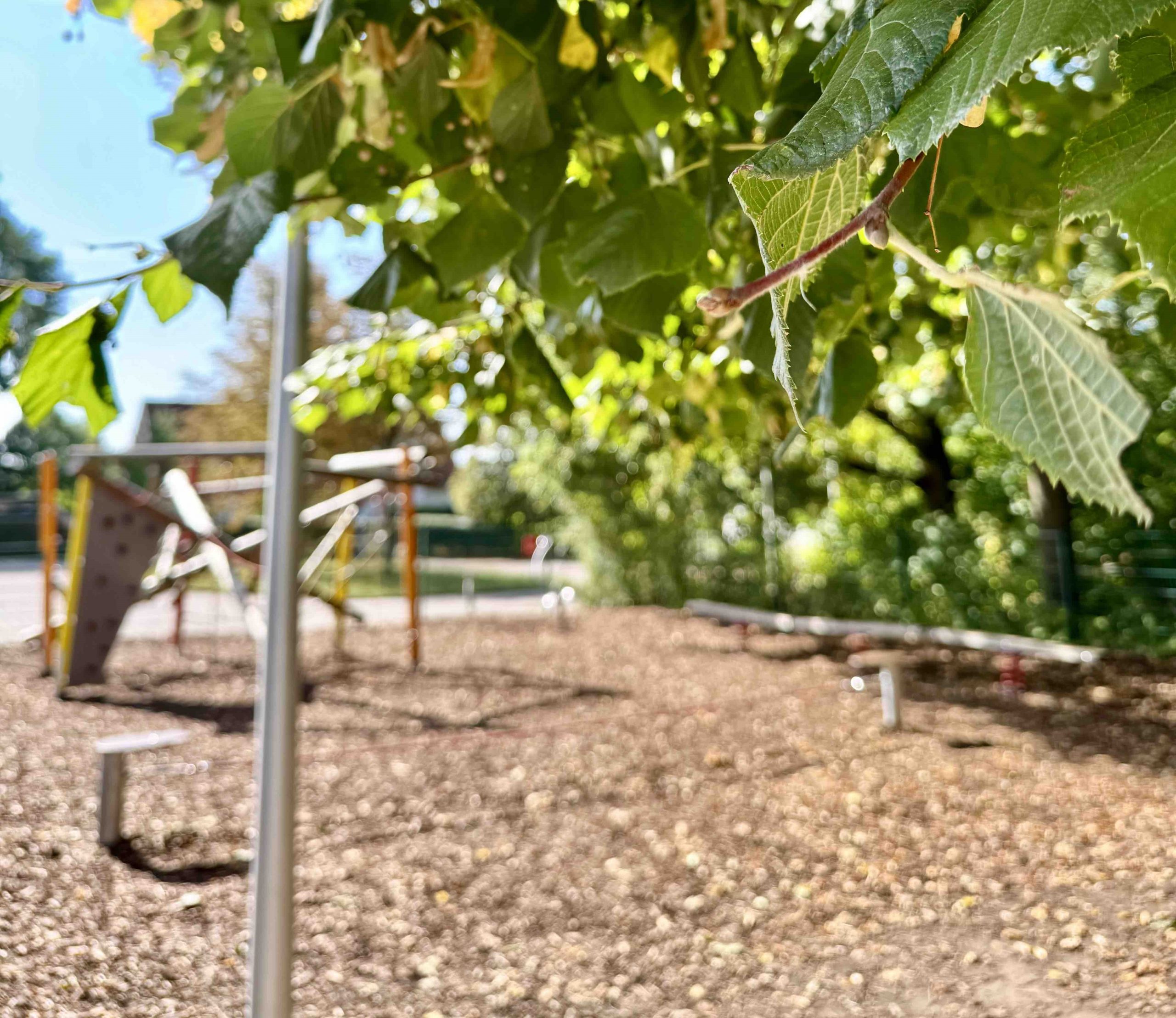 Blick auf das Klettergerüst