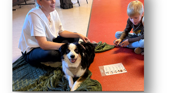 Hundeschule26