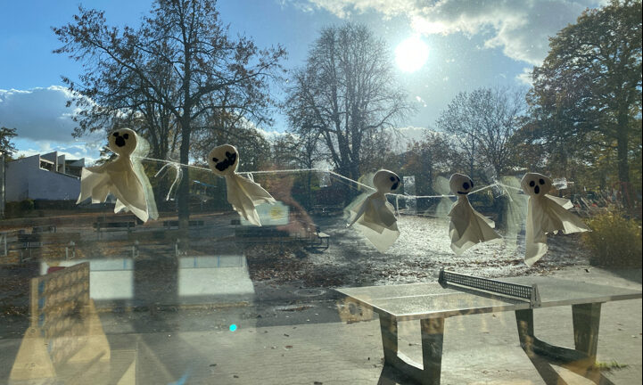 Photo-1