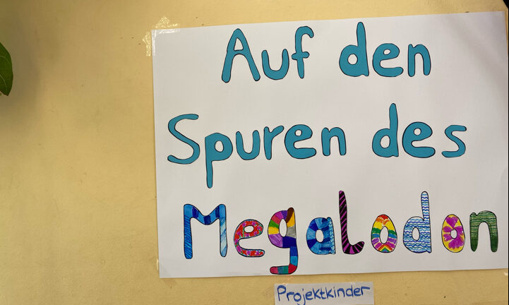 Photo-6