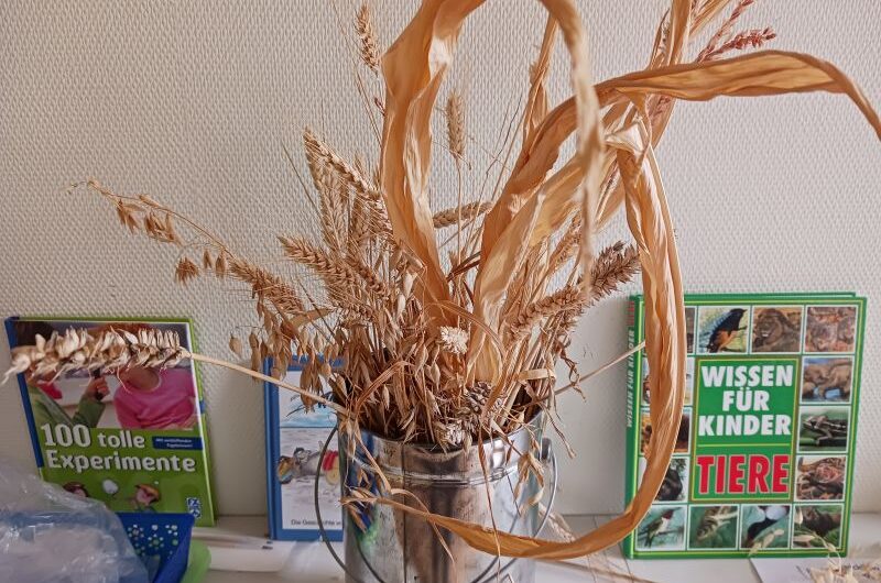 Getreidewerkstatt