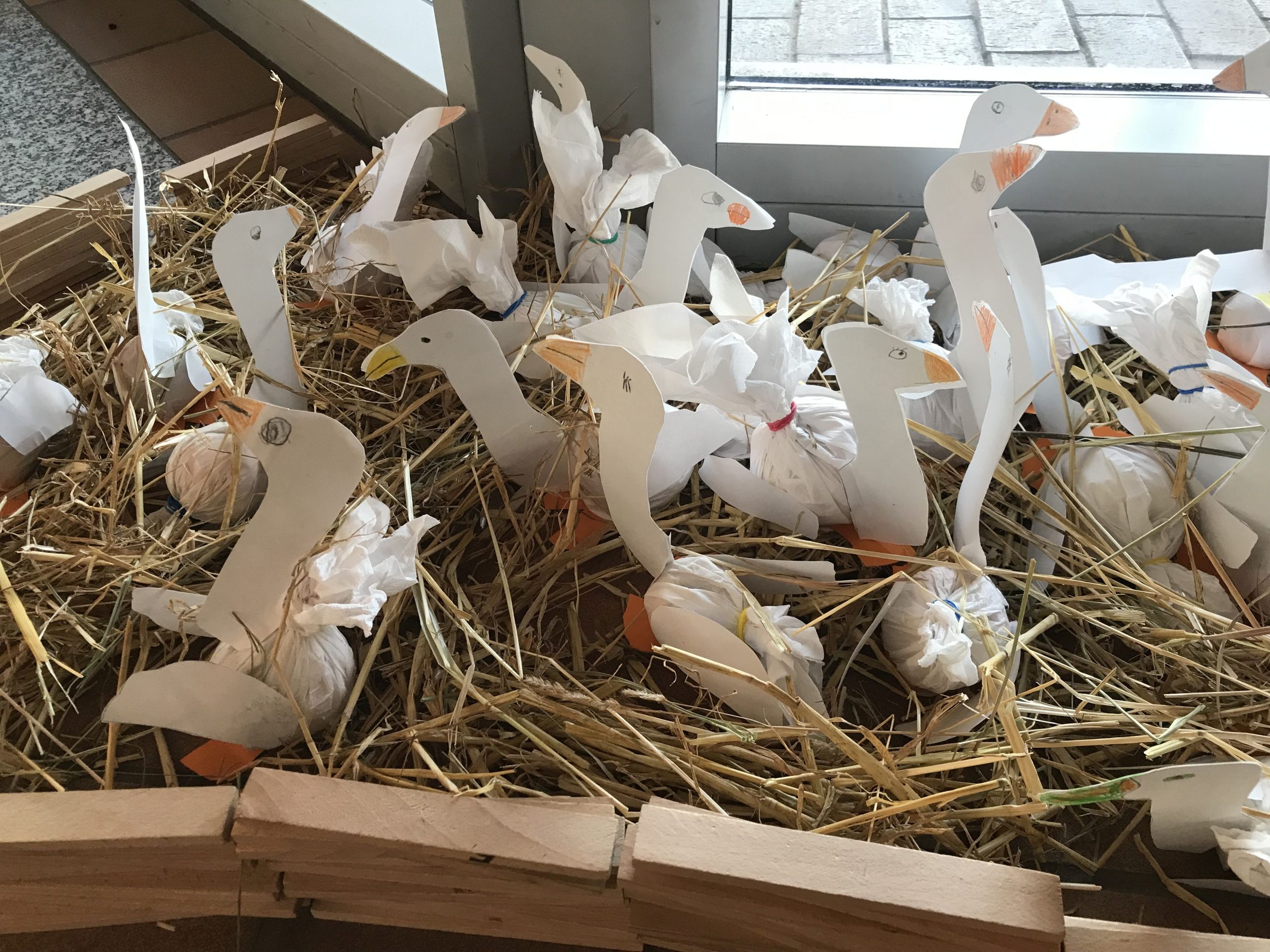 Martinsgänse in der Grundschule Powe – Grundschule Powe