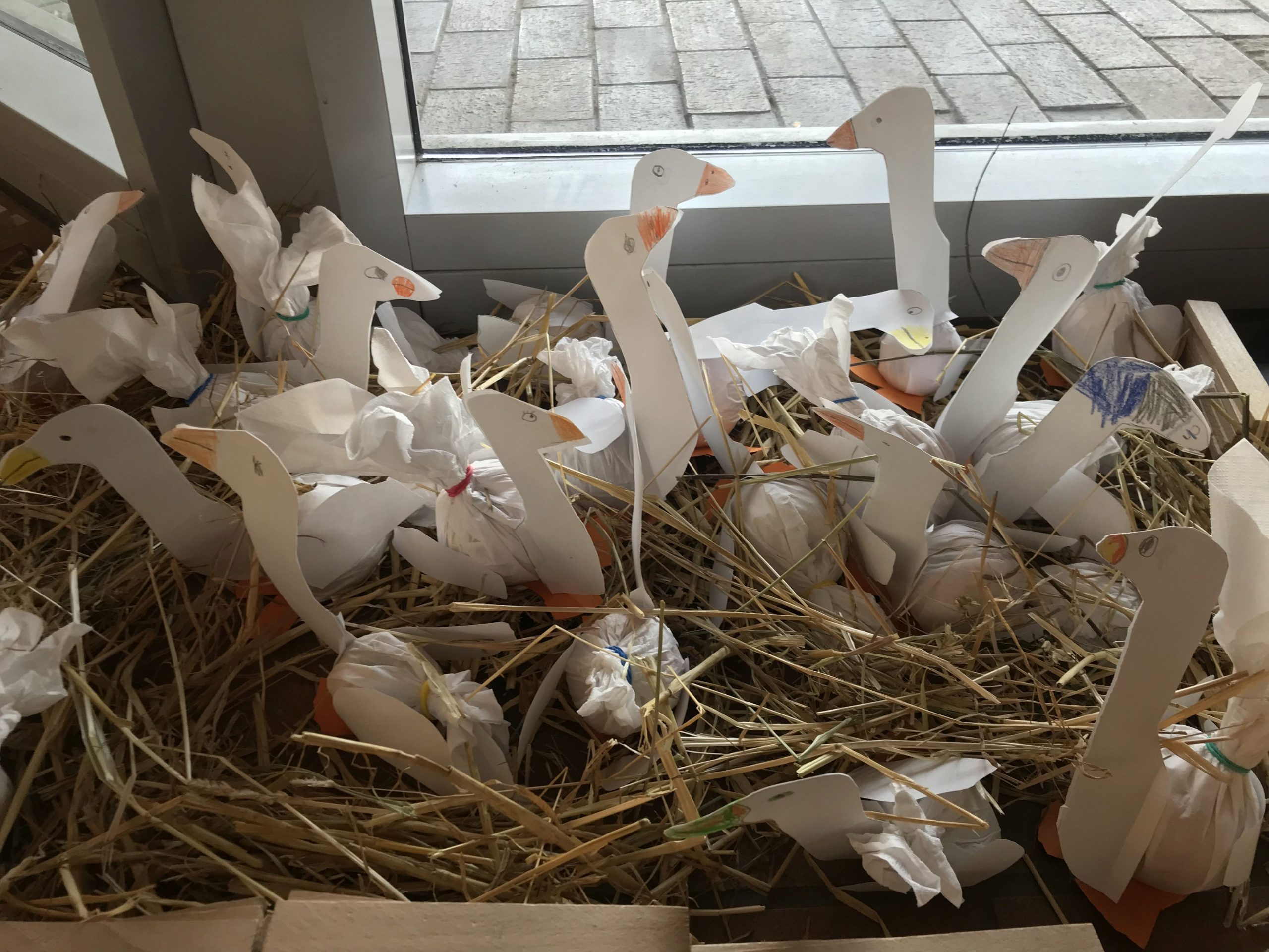 Martinsgänse in der Grundschule Powe – Grundschule Powe