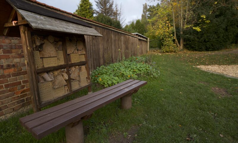 Bienenhotel-1