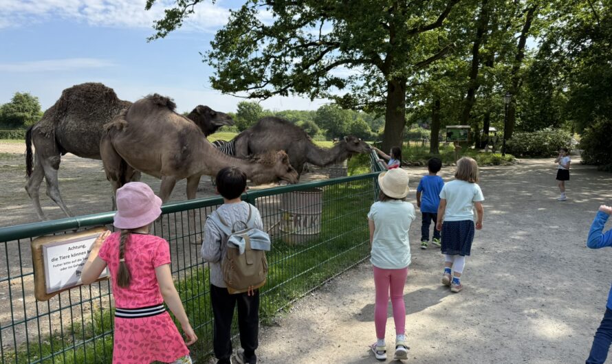 Ausflug der 1. Klassen nach Essehof