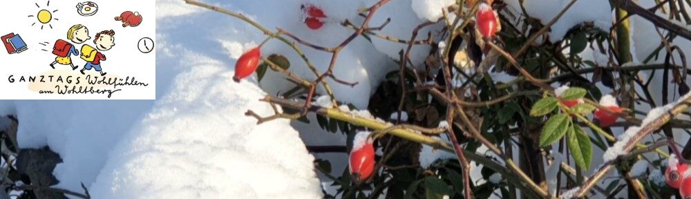 Grundschule Wohltberg