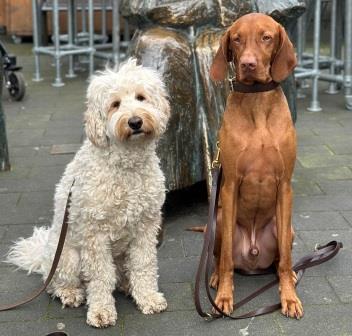 Fräulein Maja und Friedel