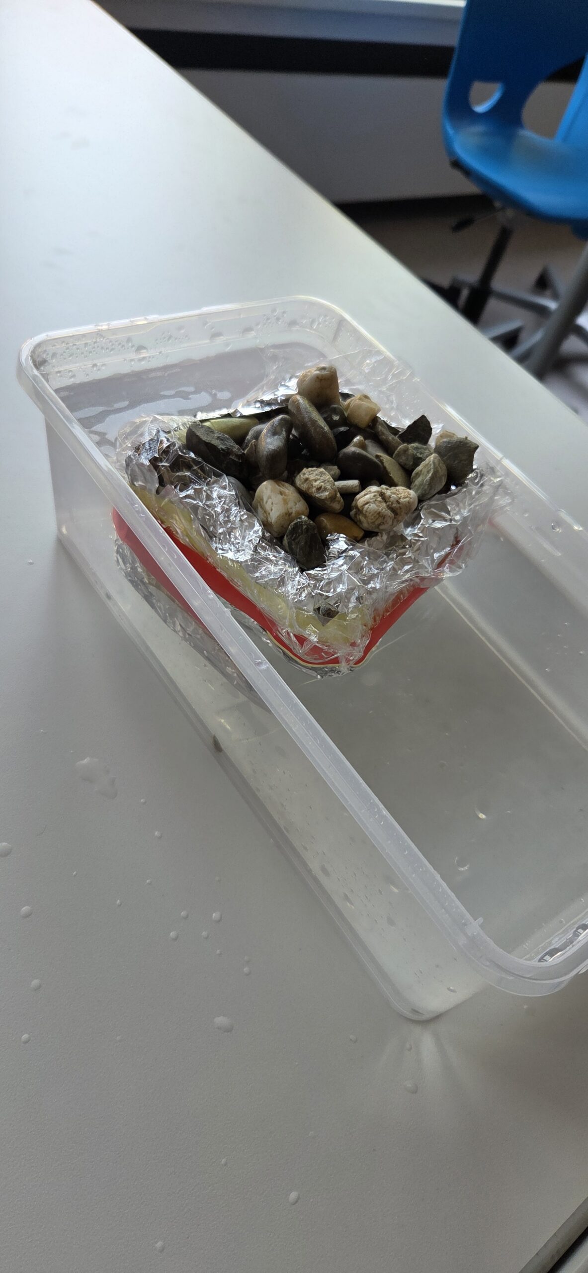 Bilder aus den Projekten