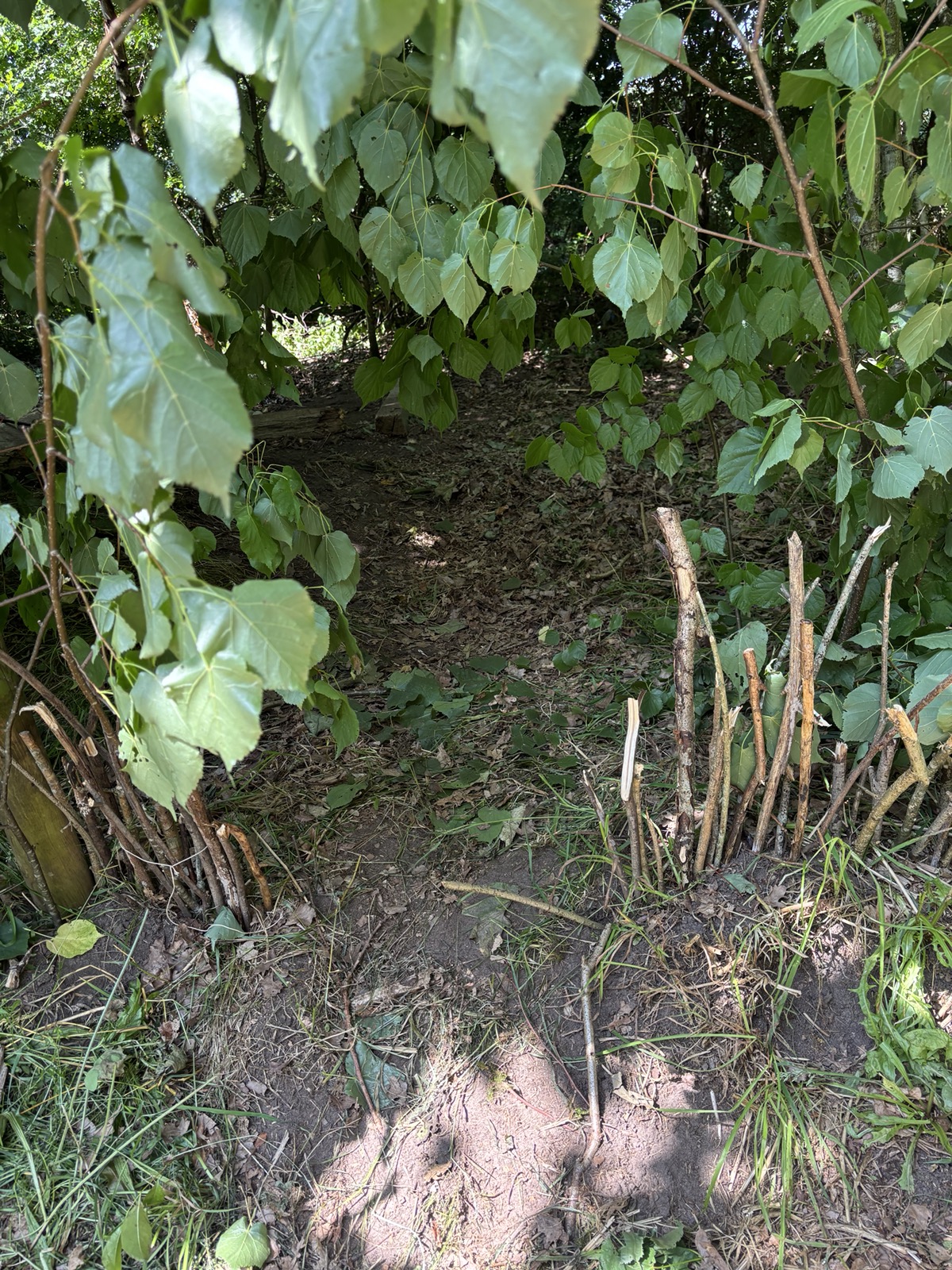 Bilder aus den Projekten