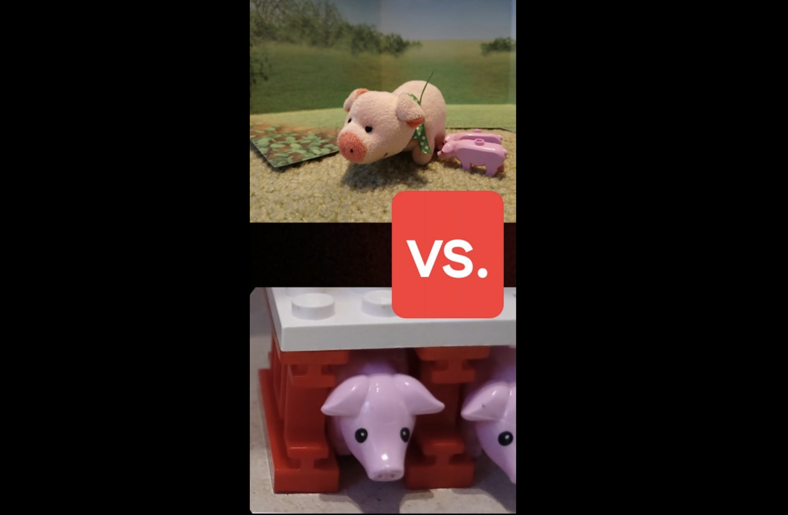 Warum kein Fleisch essen?