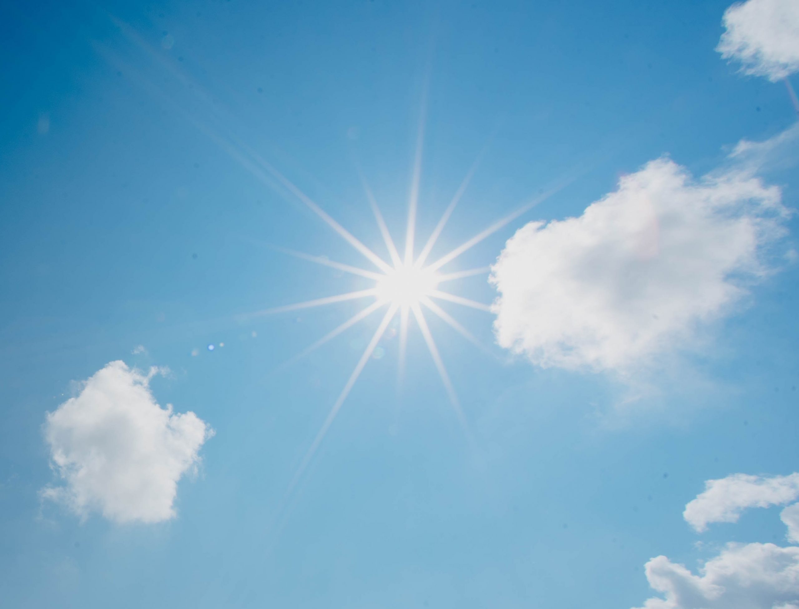 Interview mit Frau Sonnenschein