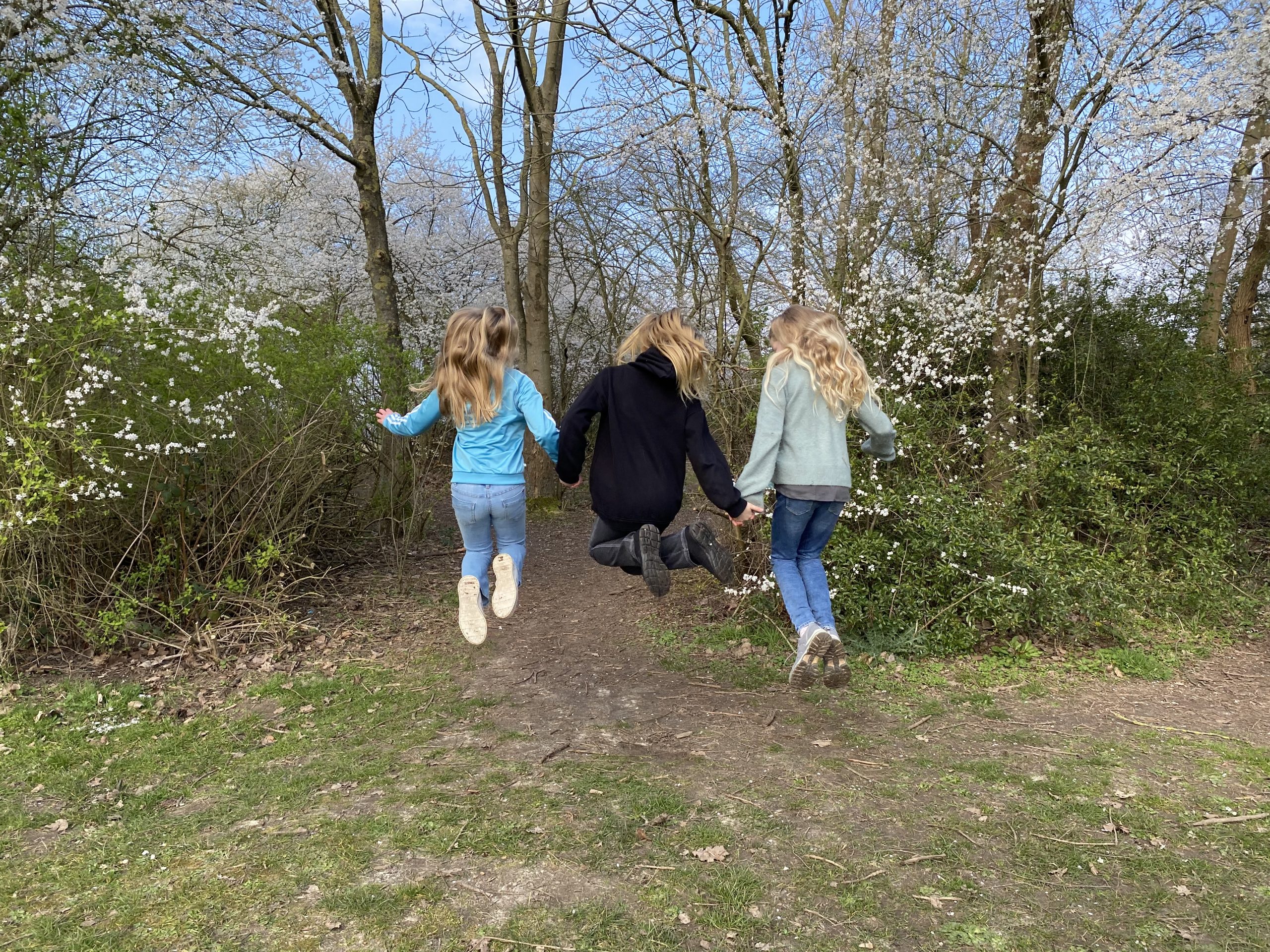 Ist das Schülerwald-Verbot gerechtfertigt?