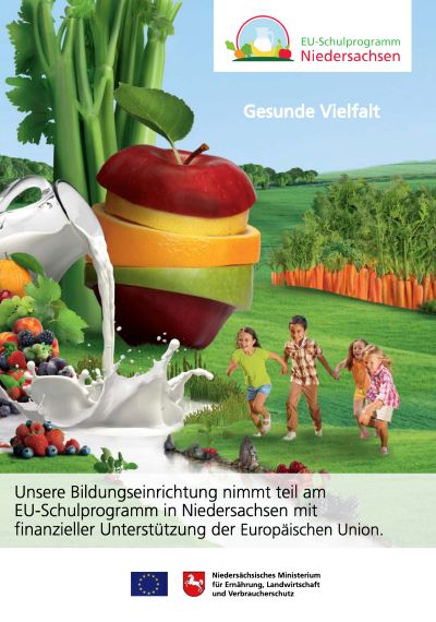 Flyer gesunde Vielfalt