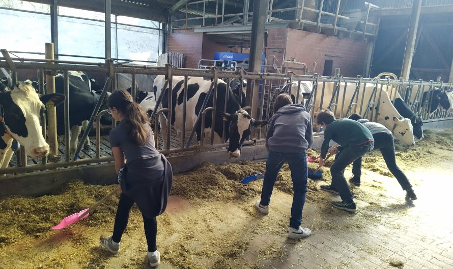 Hofbesichtigung beim Bauernhof Beimforde