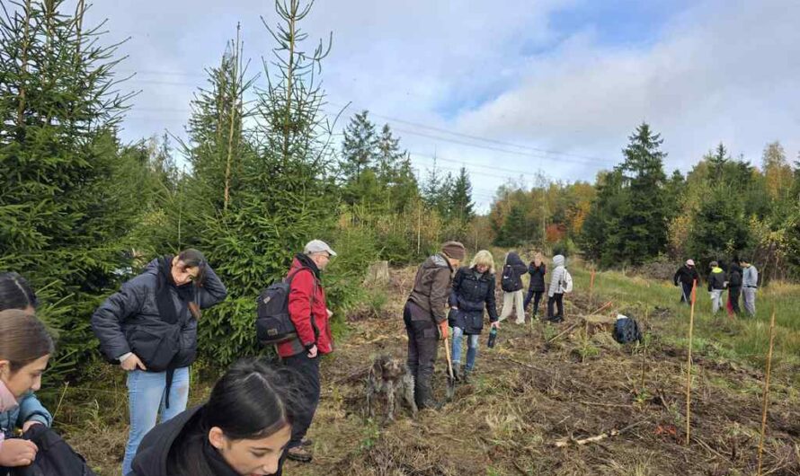 Dem Stadtwald ein Stück Zukunft zurückgeben