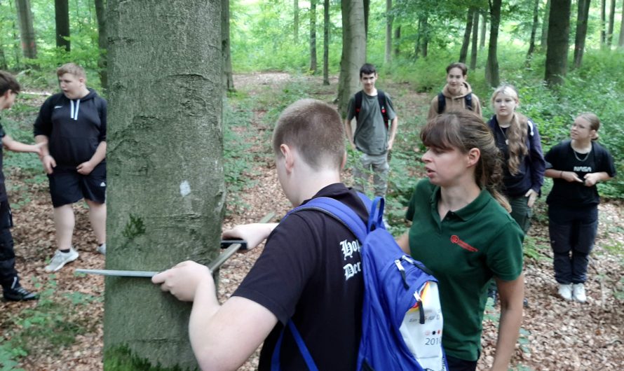 Waldgang mit der Revierförsterin