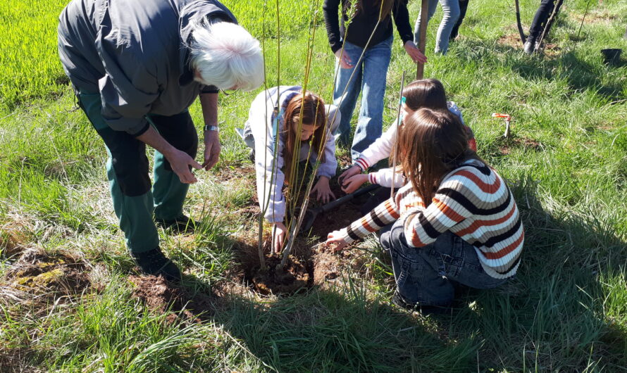 „Tag der Erde“ – SchülerInnen pflanzen Bäume im Schutzgebiet Schedetal