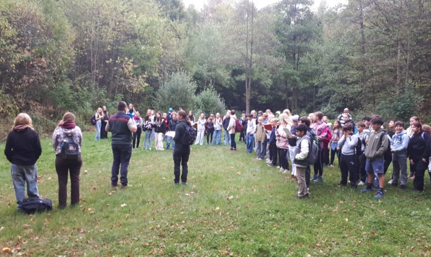 Waldolympiade unserer 6. Klassen am 03.09.2026