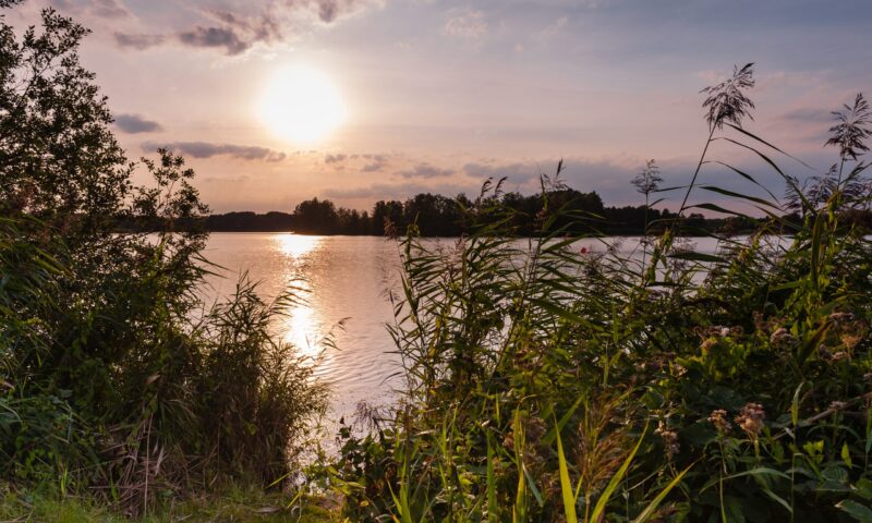 Meissendorf_Meissendorfer Teiche Abendlicht Sommer_CCBYSA_MTiemann_20120829_06