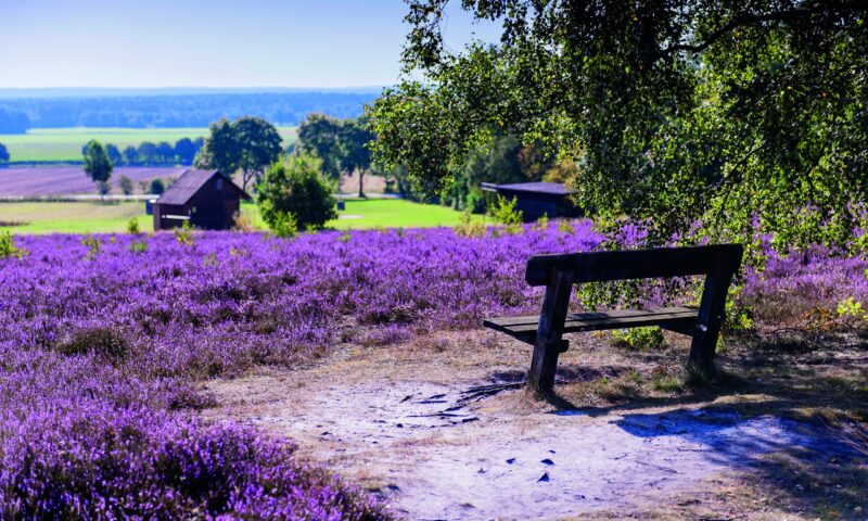 Wietzer Berg_DSC7625_b